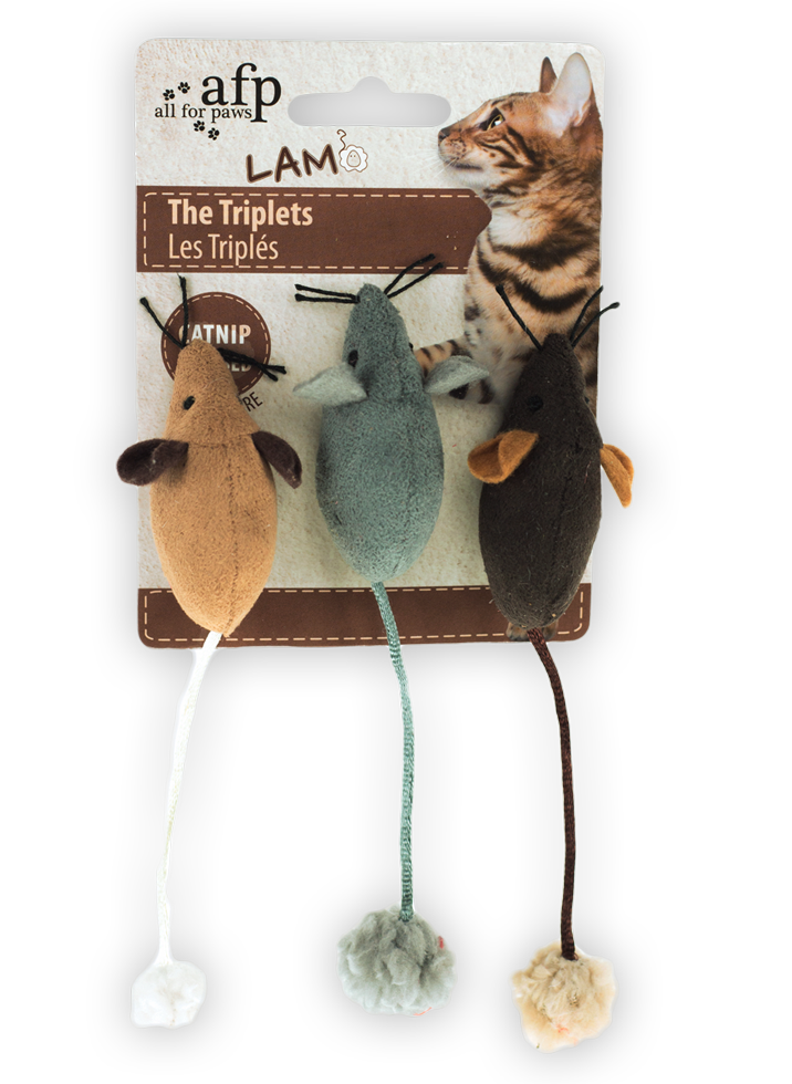 AFP Lambswool - Das Trio