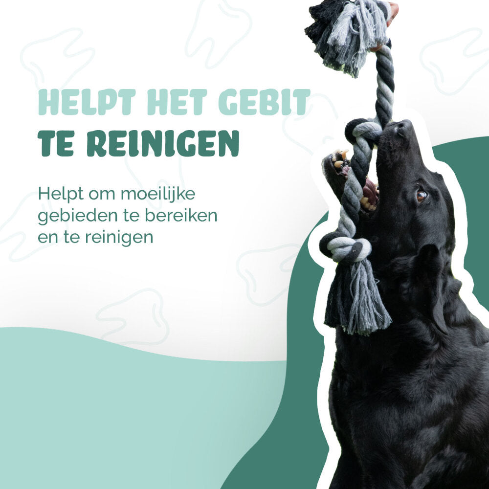Floss Toss Dental Tau 5 Knoten - 145 cm